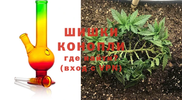 стаф Белоозёрский