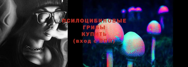 гашик Беломорск