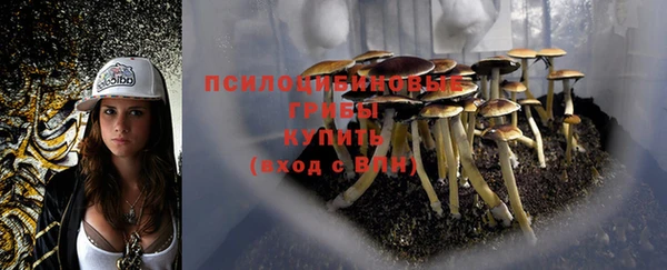 ПСИЛОЦИБИНОВЫЕ ГРИБЫ Богородицк