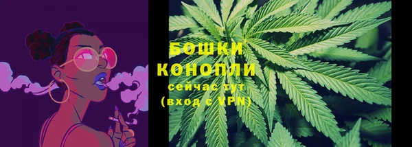 мет Белокуриха