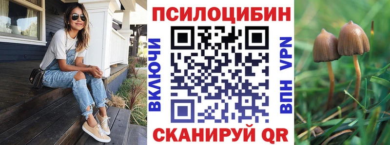 Галлюциногенные грибы Cubensis  где можно купить наркотик  Кстово 