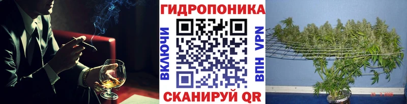 где можно купить   Кстово  Канабис OG Kush 